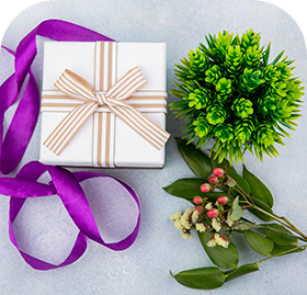 Corporate Gift Plants