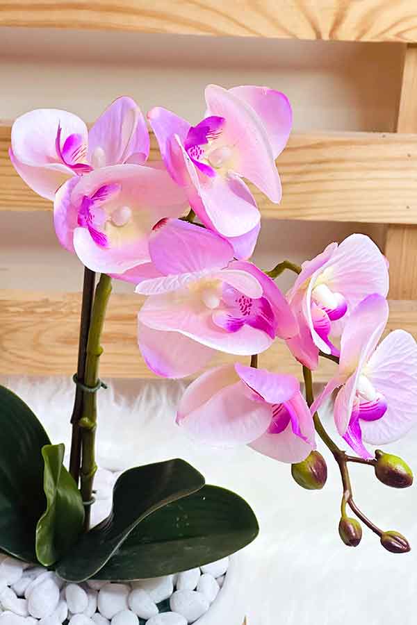 Everlasting Faux Pink Orchid Arrangement