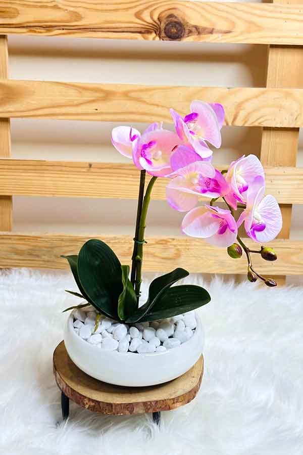 Everlasting Faux Pink Orchid Arrangement – Lifelike Pink Orchid Décor for Elegant Home & Office Decoration | Plantsworld.ae