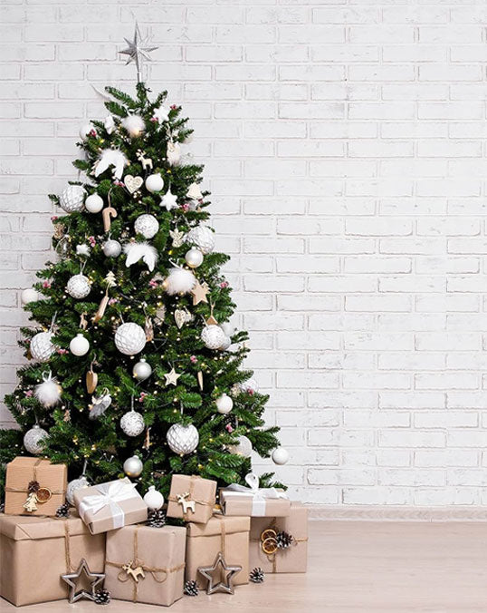 Nordmann Fir Holland Indoor Tall Plant Rental – 7 ft Christmas Tree in Modern Interior