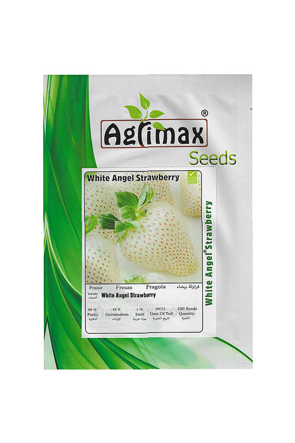White Angel Strawberry Seeds – Premium Exotic White Strawberry Seeds from Spain for UAE Gardeners