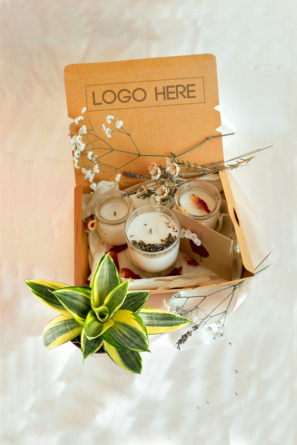 Air-Purifying Plant & Candle Gift Box