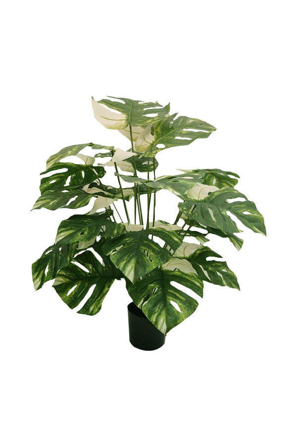 Artificial Monstera Albo – Lifelike Faux Tropical Plant with White Variegated Leaves in Decorative Pot