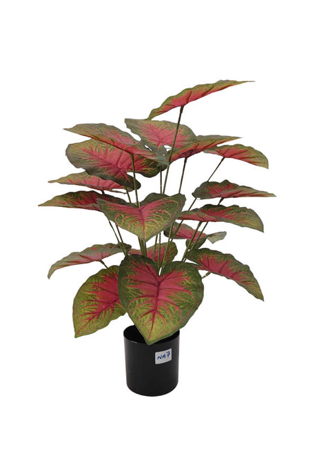 Artificial Caladium Plant – Lifelike Faux Tropical Plant with Colorful Heart-Shaped Leaves