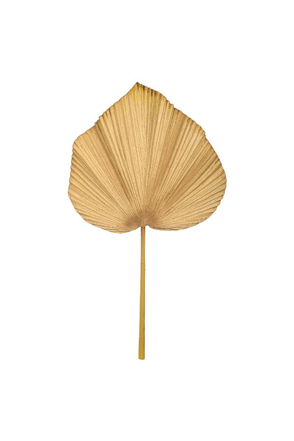 Artificial Dried Palm Leaves – Lifelike Faux Palm Décor for Home & Garden | Plantsworld.ae