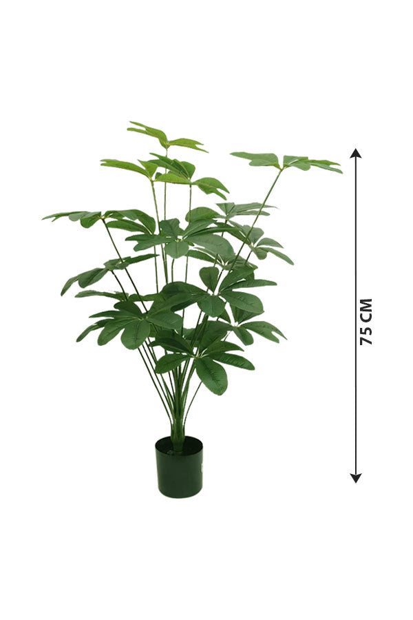 Buy Artificial Schefflera Arboricola Plant – Faux Indoor Greenery