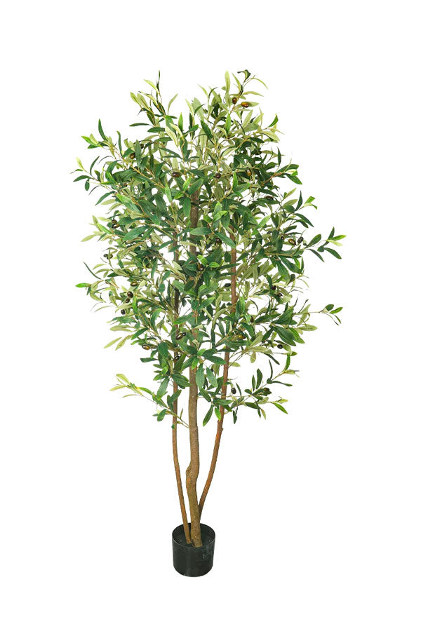 Beautiful Artificial Olive Tree – Realistic Faux Plant for Home & Garden Décor | Plantsworld.ae
