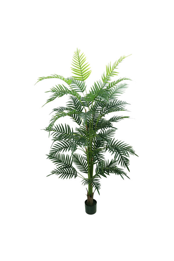 Artificial Areca Palm Tall – Realistic Indoor Faux Plant for Home & Office Use | Plantsworld.ae