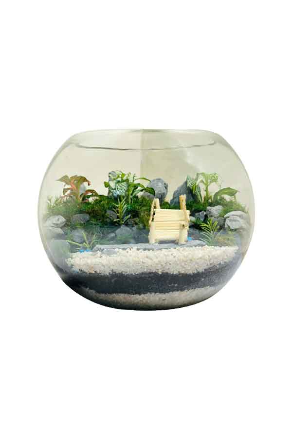 Botanic Beauty Terrarium Glass Planter for home decor and indoor plants