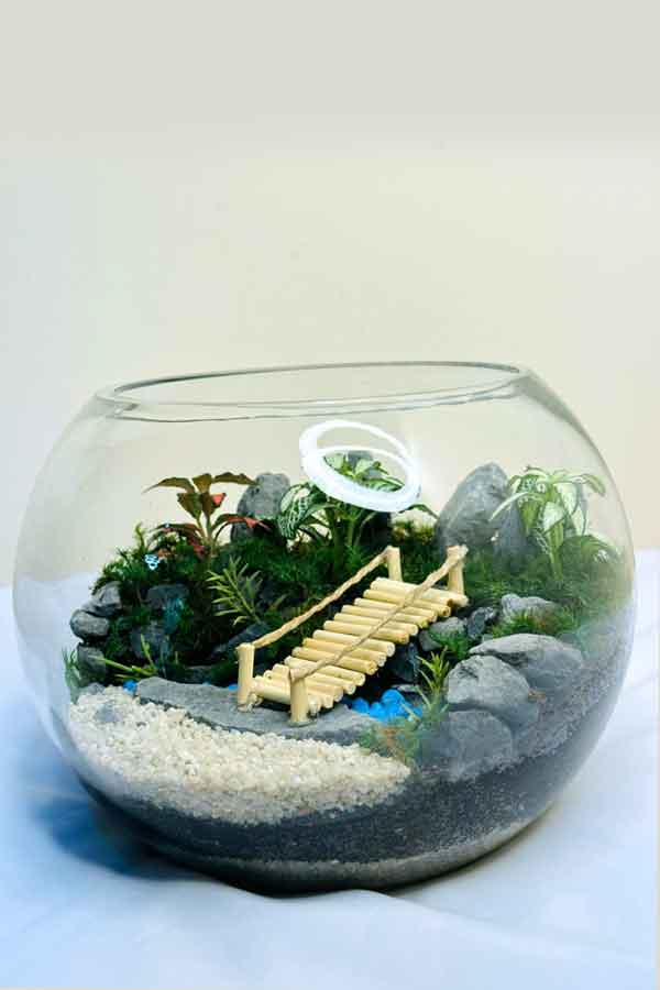 Botanic Beauty Terrarium