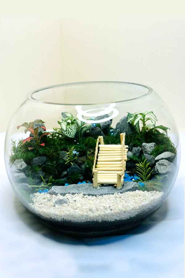 Botanic Beauty Terrarium