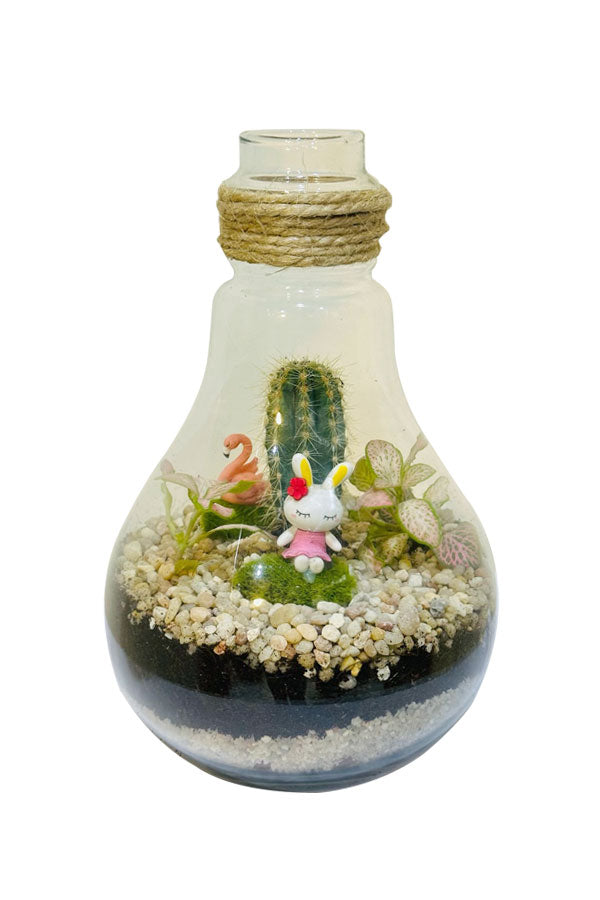 Botanical Bowl Beauties Terrarium Glass Planter for small plants and home decor
