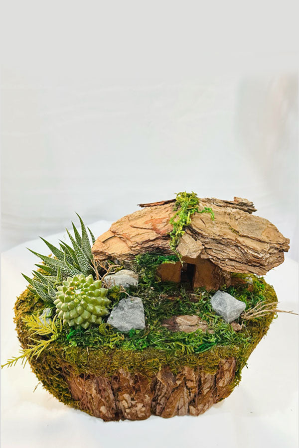 Cactus And Succulent Arrangement - Plant Dish