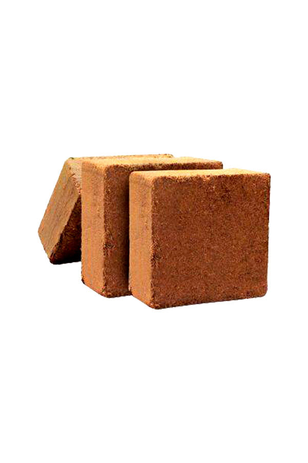 Coco Peat Block for Plant Care – Ideal Soil Conditioner for Healthy Plants