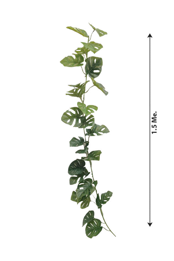 Artificial Creeping Plant - Monstera Swiss Cheese