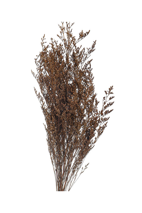 Meticulous Dried German Statice Flower – Elegant Dried Flowers for Home Décor and Floral Arrangements