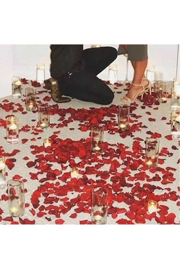 Enchanting Grand  Proposal (Will You Marry Me)- Decor
