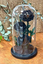 Everlasting Memory of Forever Black Roses (Set of 3) – Preserved Elegance at PlantsWorld UAE
