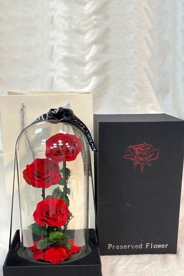 Set of 3 Forever Red Roses in Elegant Dome – PlantsWorld UAE