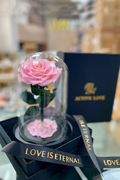 Forever preserved single baby pink rose in elegant gift box UAE