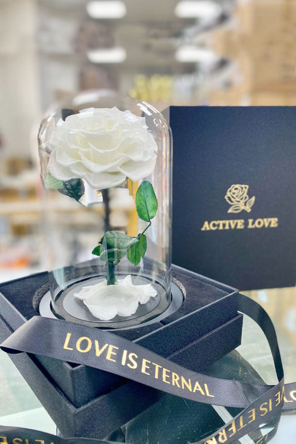 Forever Single Preserved White Rose in Elegant Display – PlantsWorld UAE