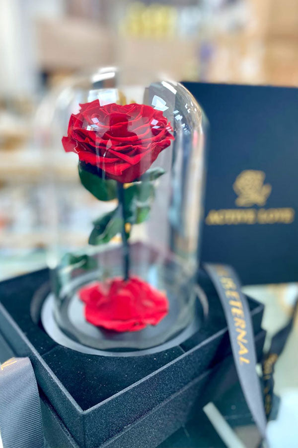 Special Delight Forever Single Red Rose in luxury gift box UAE