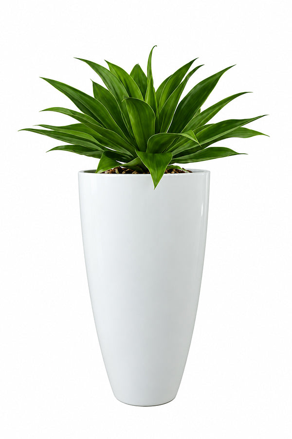 GRP Round Tall - Indoor Plant Pot