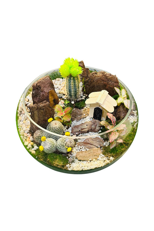 Handcrafted garden glass terrariums with lush plants - Plantsworld.ae