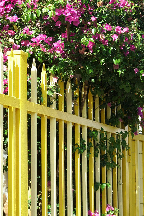 Stylish and Durable Garden Aluminium Fencing Solutions in UAE – High-Quality Fence Installation by PlantsWorld.ae