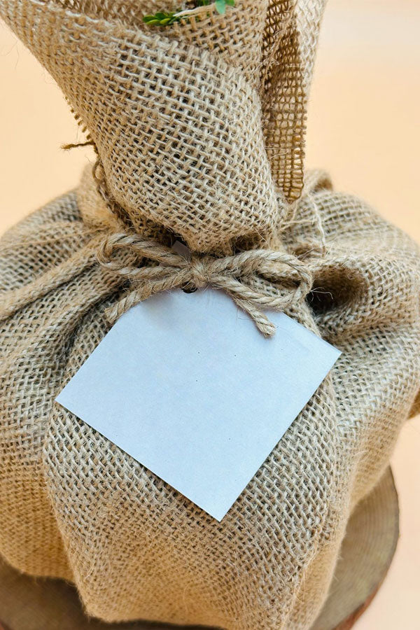 Ghaf - National Tree Of UAE  With Jute Wrap