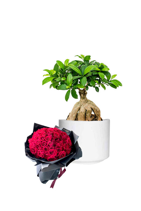 Ginseng Bonsai and a colorful flower bouquet in a romantic Valentine’s Day gift arrangement