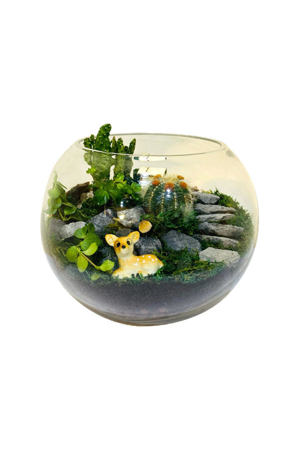 Beautiful glass garden terrariums filled with lush greenery - Plantsworld.ae