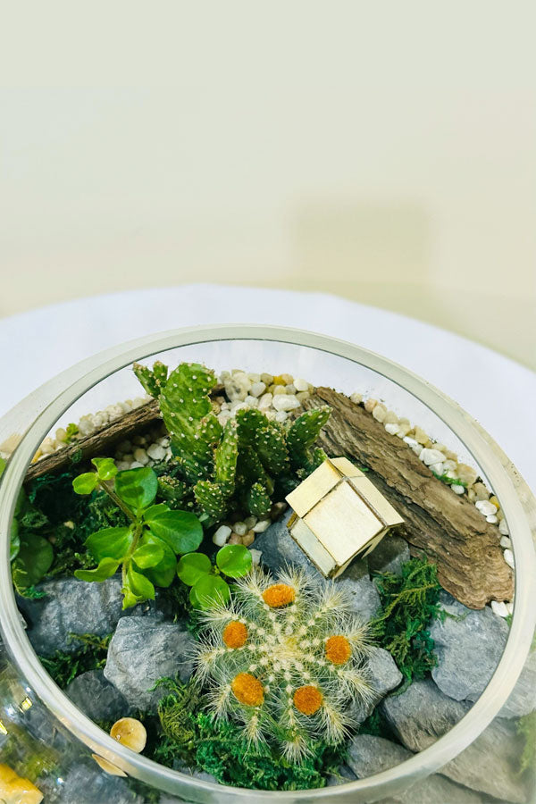 Glass Garden Delights - Terrarium
