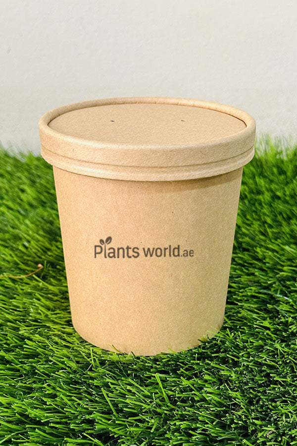 Microgreen Grow Kit - Start Growing Your Own Fresh Microgreens at Home