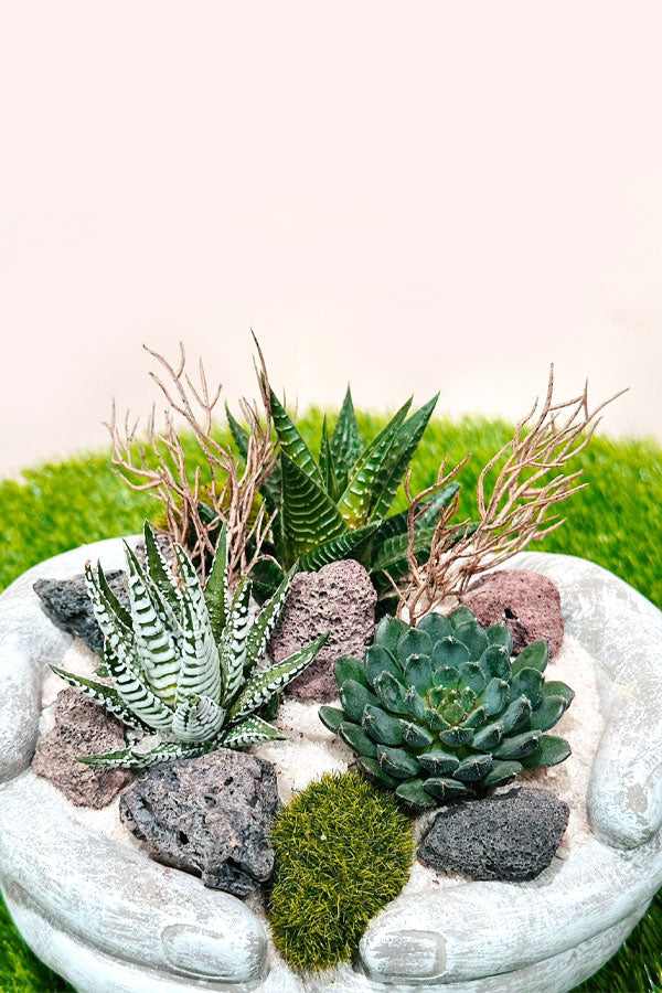 Succulent Arrangement in Hand Pot – Modern Indoor Plant Gift