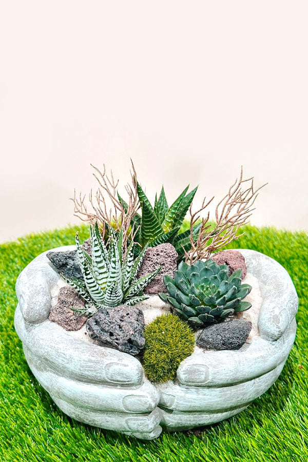 Succulent arrangement in hand-shaped pot – unique indoor plant gift UAE