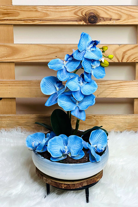 Peaceful Blue Orchid in Bowl – Lifelike Artificial Orchid Arrangement for Home & Office Décor | Plantsworld.ae