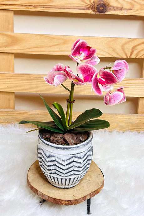 Blooming Orchid Pink Beauty – Lifelike Artificial Pink Orchid for Home & Office Décor | Plantsworld.ae