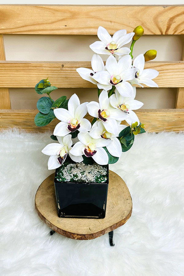 Gorgeous Faux White Orchid Arrangement – Realistic Artificial White Orchid for Elegant Home & Office Décor | Plantsworld.ae