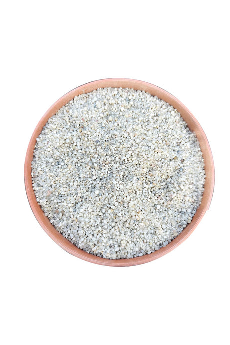 Earth Stones for Landscaping and Gardening - PlantsWorld.ae