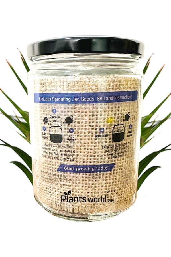 Maison Jar with Branding - Premium Glass Jar for Home Decor