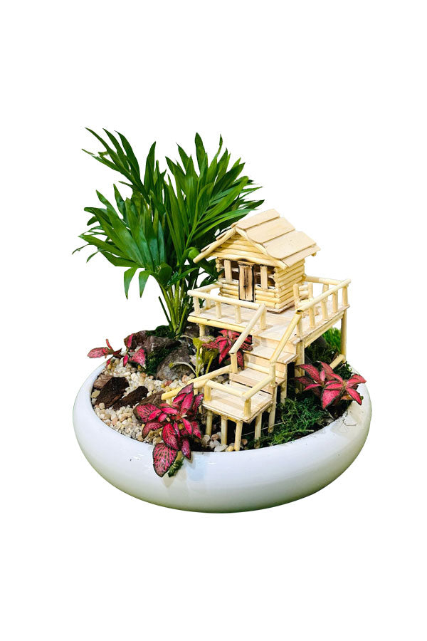 Lively Green Dish - Plant Dish