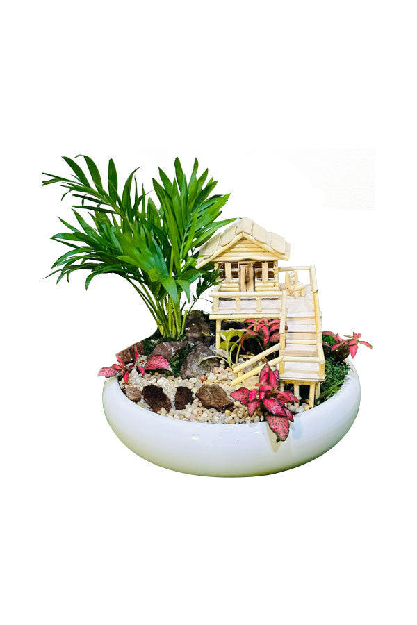 Lively Green Dish – Indoor Plant Dish Garden Arrangement for Home or Office
