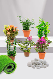 Best Fragrant Plants collection featuring aromatic flowers, herbs, and shrubs for your home and garden