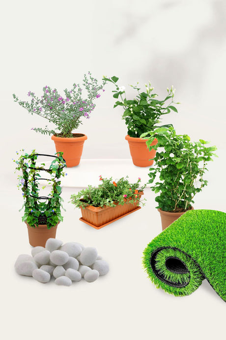 Mesmerising Flowering Plants collection featuring vibrant and stunning blooms for home and garden