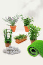 Mesmerising Flowering Plants collection featuring vibrant and stunning blooms for home and garden