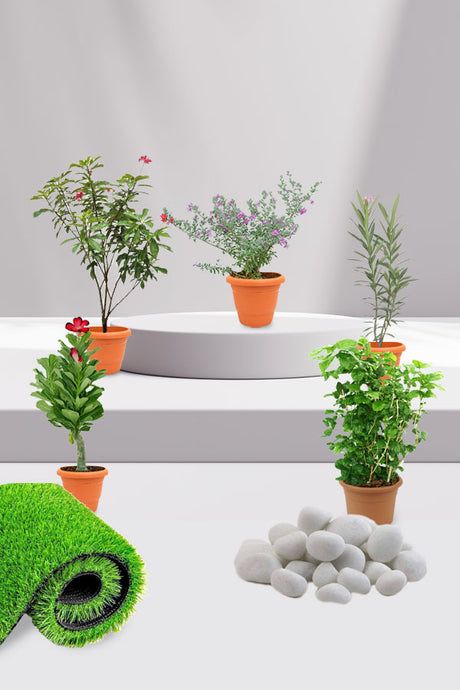 Balcony In Bloom collection featuring beautiful, vibrant plants for your balcony and outdoor spaces