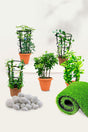 Beautiful creeping flowering plants for gardens, balconies, and landscapes in Dubai