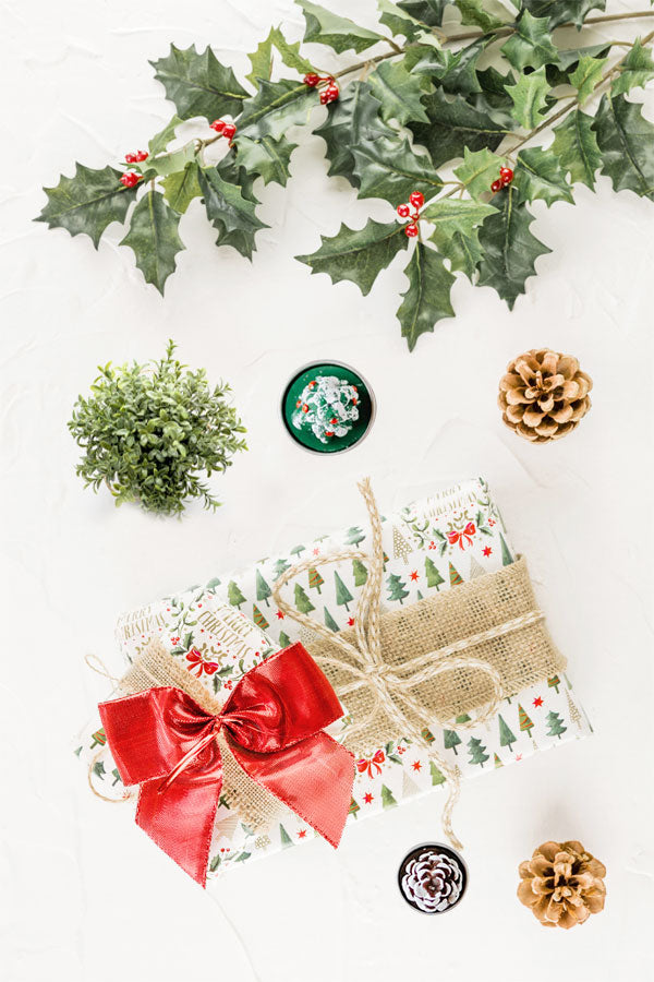 New Year Prosperity Plant Gift