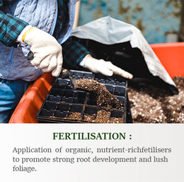 Fertilisation